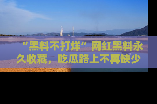 “黑料不打烊”网红黑料永久收藏，吃瓜路上不再缺少惊喜与乐趣