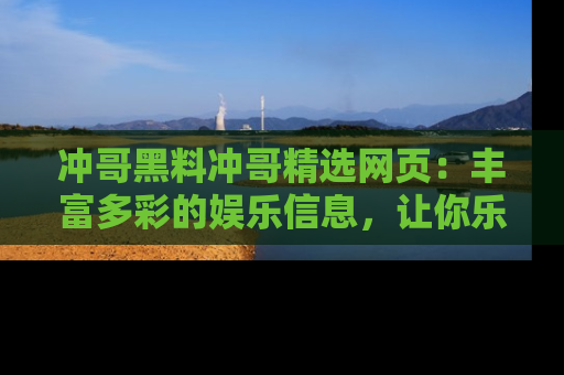 冲哥黑料冲哥精选网页：丰富多彩的娱乐信息，让你乐不停息