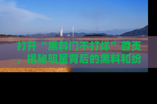 打开“黑料门不打烊”首页，揭秘明星背后的黑料和纷争真相！