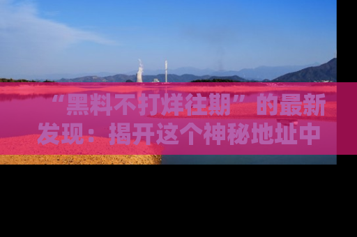 “黑料不打烊往期”的最新发现：揭开这个神秘地址中的爆笑黑料面纱
