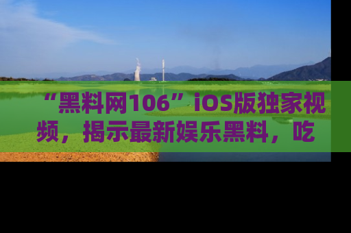 “黑料网106”iOS版独家视频，揭示最新娱乐黑料，吃瓜不停！