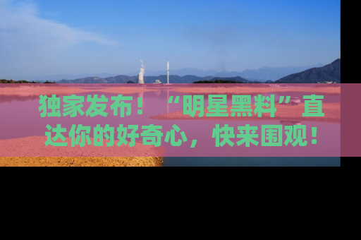 独家发布！“明星黑料”直达你的好奇心，快来围观！