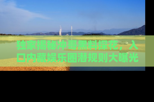 独家揭秘冲哥黑料探花，入口内藏娱乐圈潜规则大曝光