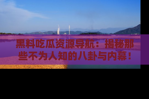 黑料吃瓜资源导航：揭秘那些不为人知的八卦与内幕！