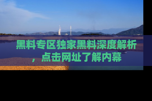 黑料专区独家黑料深度解析，点击网址了解内幕