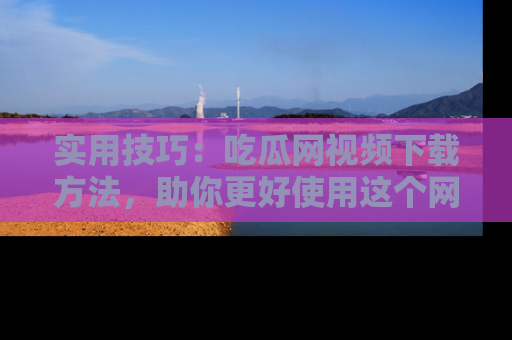 实用技巧：吃瓜网视频下载方法，助你更好使用这个网站