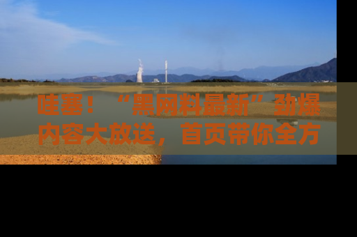 哇塞！“黑网料最新”劲爆内容大放送，首页带你全方位了解哦，小可爱们